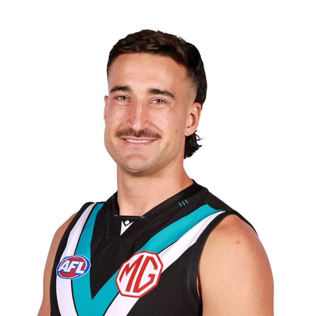 Ivan Soldo profile picture